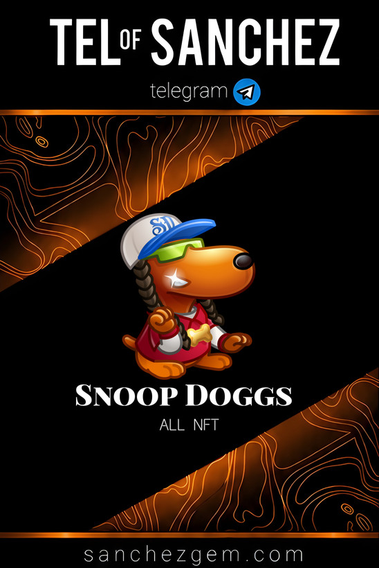 هدیه تلگرام ( ان اف تی تلگرام ) / کالکشن: Snoop Doggs