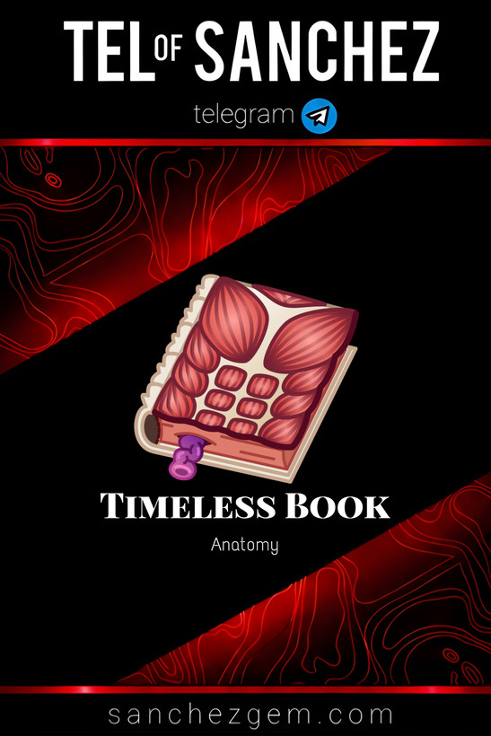 هدیه تلگرام ( ان اف تی تلگرام ) / کالکشن: TIMELESS BOOK