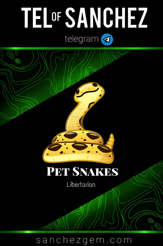 هدیه تلگرام ( ان اف تی تلگرام ) / کالکشن: PET SNAKES