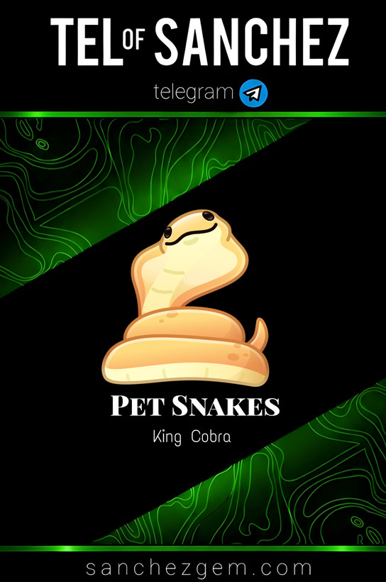 هدیه تلگرام ( ان اف تی تلگرام ) / کالکشن: PET SNAKES