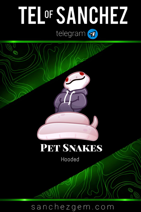 هدیه تلگرام ( ان اف تی تلگرام ) / کالکشن: PET SNAKES