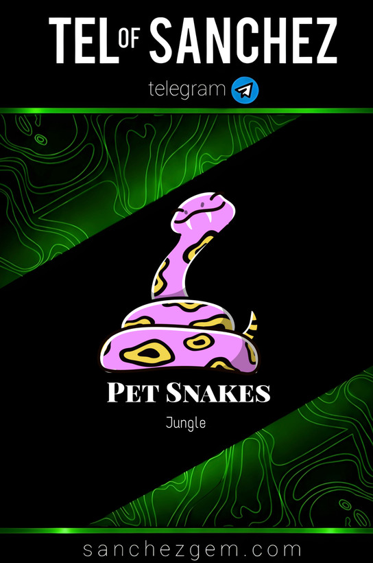 هدیه تلگرام ( ان اف تی تلگرام ) / کالکشن: PET SNAKES
