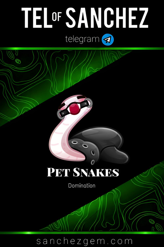 هدیه تلگرام ( ان اف تی تلگرام ) / کالکشن: PET SNAKES