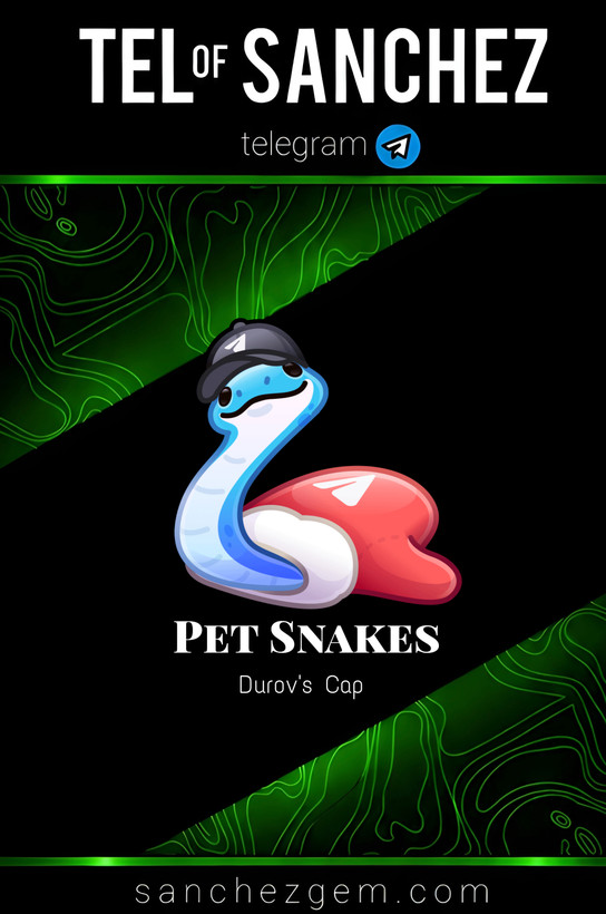 هدیه تلگرام ( ان اف تی تلگرام ) / کالکشن: PET SNAKES