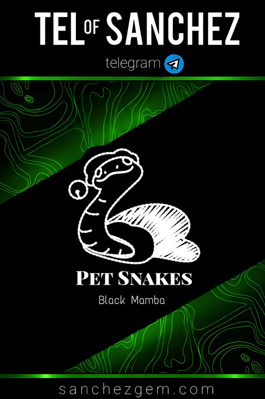 هدیه تلگرام ( ان اف تی تلگرام ) / کالکشن: PET SNAKES