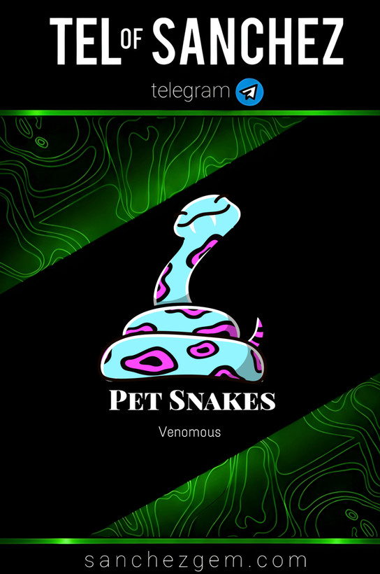 هدیه تلگرام ( ان اف تی تلگرام ) / کالکشن: PET SNAKES
