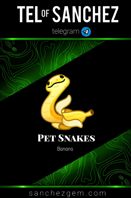 هدیه تلگرام ( ان اف تی تلگرام ) / کالکشن: PET SNAKES