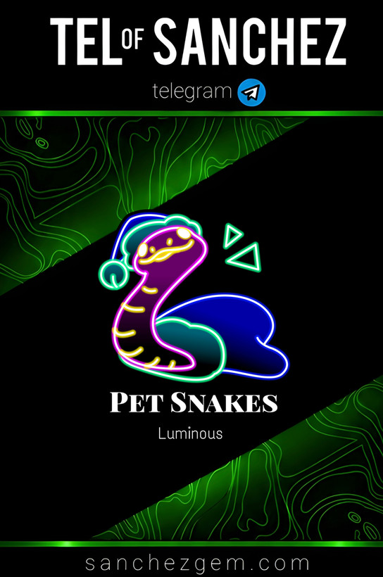 هدیه تلگرام ( ان اف تی تلگرام ) / کالکشن: PET SNAKES