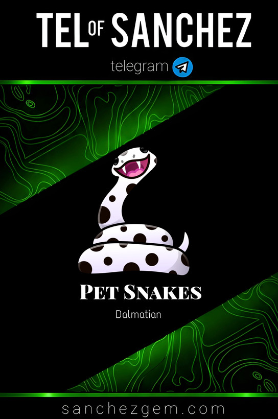 هدیه تلگرام ( ان اف تی تلگرام ) / کالکشن: PET SNAKES