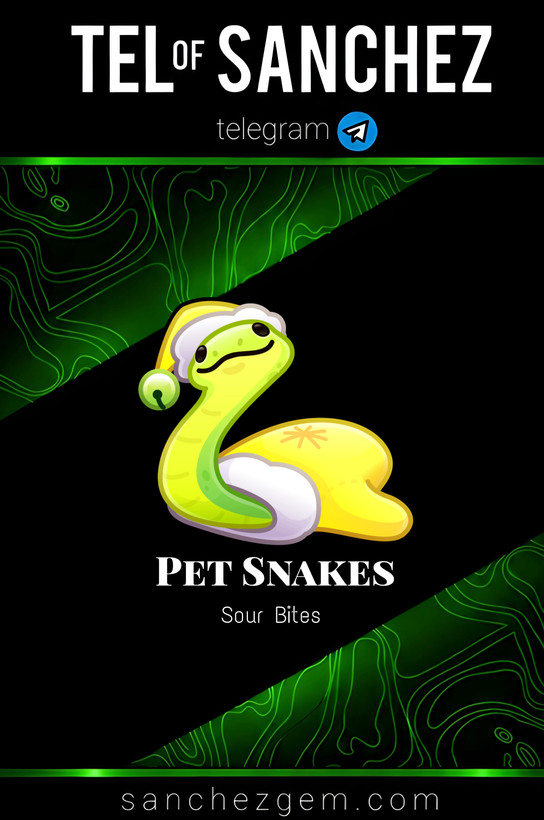 هدیه تلگرام ( ان اف تی تلگرام ) / کالکشن: PET SNAKES