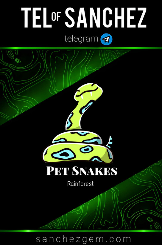 هدیه تلگرام ( ان اف تی تلگرام ) / کالکشن: PET SNAKES
