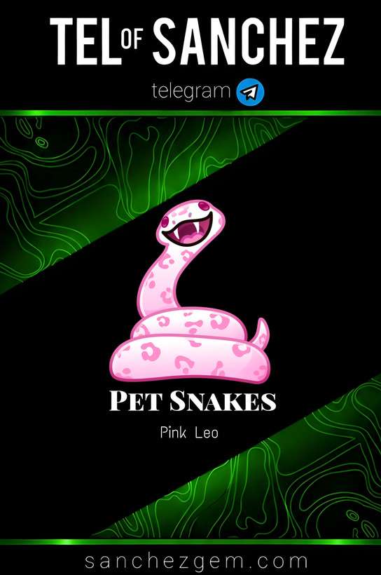 هدیه تلگرام ( ان اف تی تلگرام ) / کالکشن: PET SNAKES